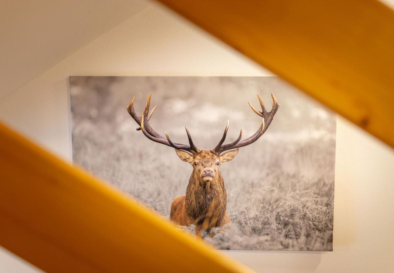 Apartmenthaus Matri By Pferd Auf Wolke Wald am Arlberg Bagian luar foto